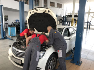 Полная диагностика цешки 204